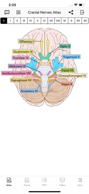 Cranial Nerves Plus(圖1)-速報App