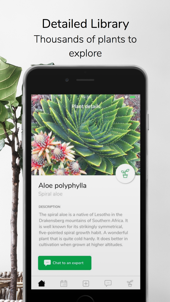 Plant Id App Uk Free - 11 Best Plant Identification App In 2021 The