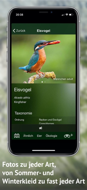 Vögel der Schweiz - Fotoguide(圖5)-速報App