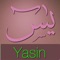Icon Yasin