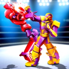 Activities of Real Robot Fighting Games 3D