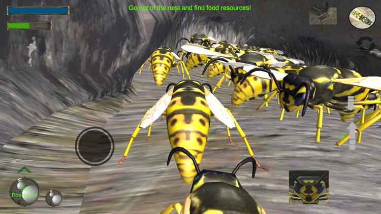 Bee Simulator Wasp