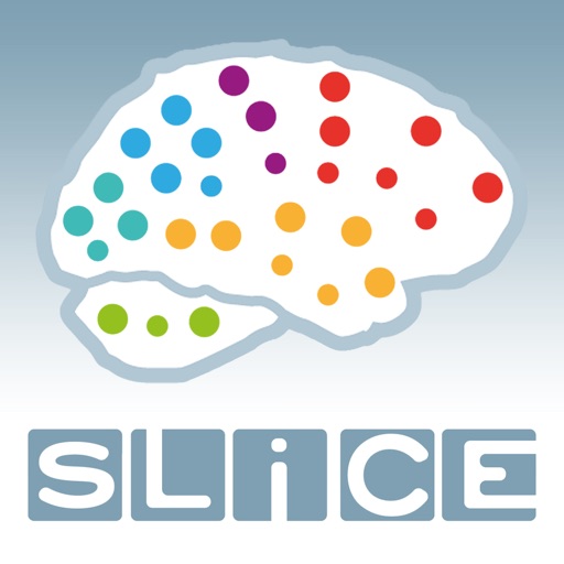 SLICE Stroke Live Course