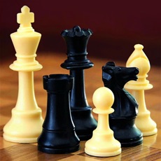 Activities of Chess Combat