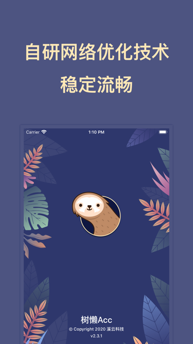 树懒Acc