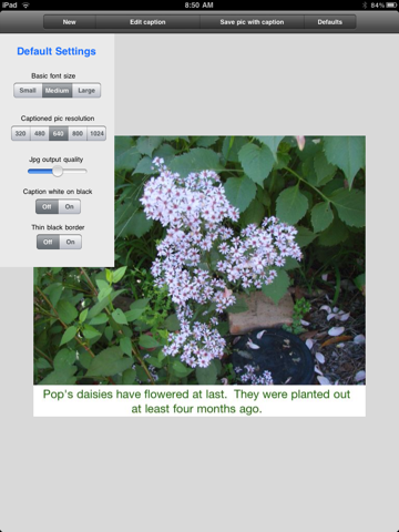 JpgStory screenshot 3