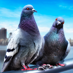 Pigeon Survival Simulator 3D 2