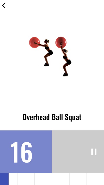 Stability Ball Workout