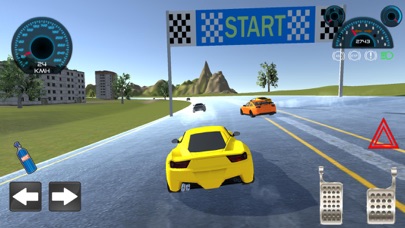 Car Race Zero 3D screenshot 2