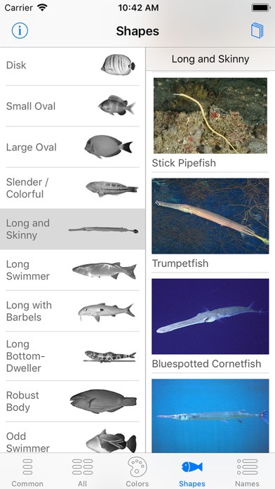 Deep Blue Divers Fish Guide screenshot 4