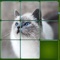 Classic picture puzzle game with pictures of cute animals will help you have relaxing time