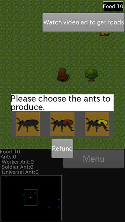 Ants Life