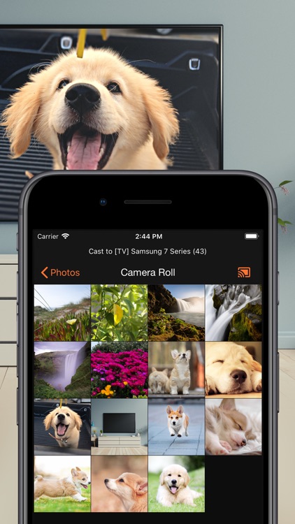 SmartCast - Samsung TV