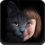 Animal Face Animation