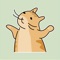 Tabby Cat Animated Stickers