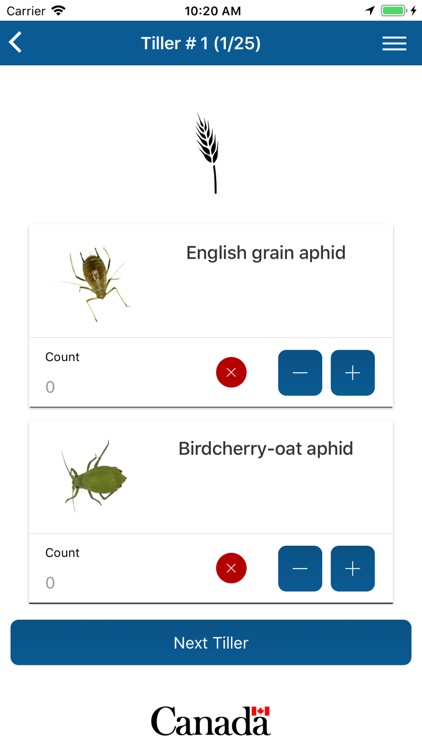 Cereal Aphid Manager