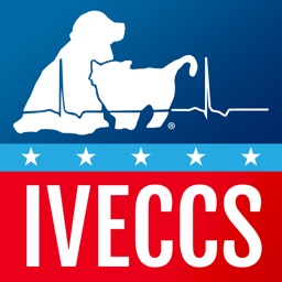 2019 IVECCS