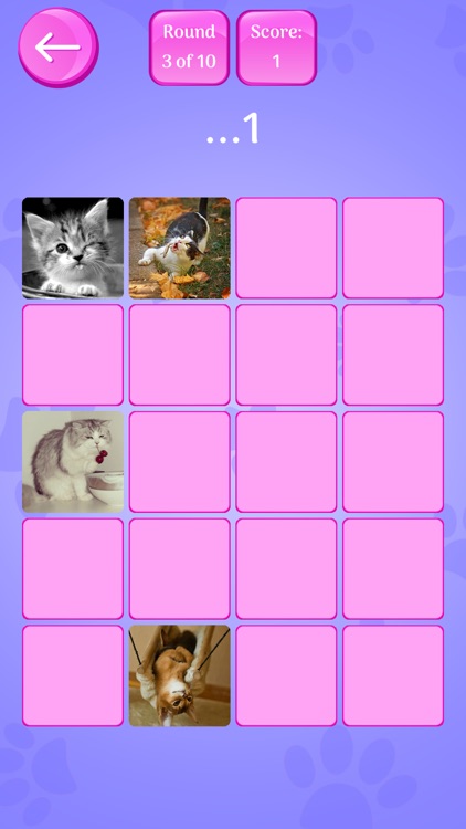 Cute Cats Memory Match Game screenshot-3