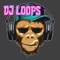 Icon DJ Pads Loop Music Maker