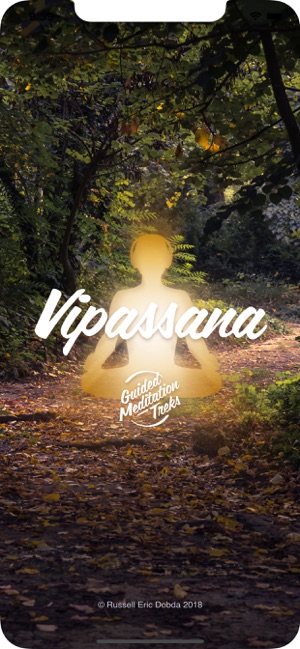 Vipassana Insight