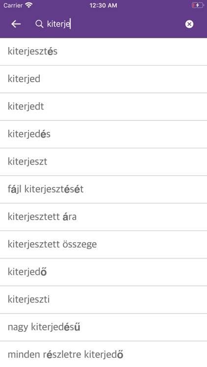Hungarian Czech Dictionary screenshot-4