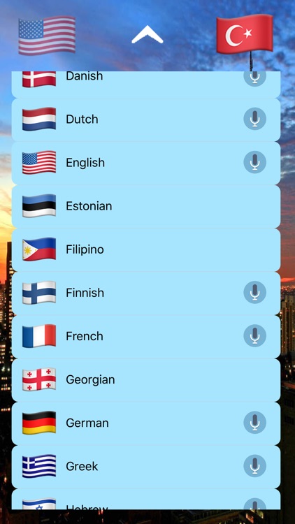 Simple Speaking Translator screenshot-3