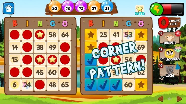 Abradoodle Bingo: Bingo! Live screenshot-6