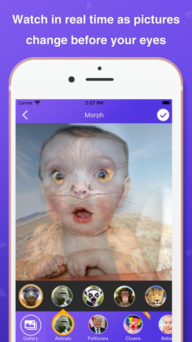 How to cancel & delete PicMorph - Morph Faces from iphone & ipad 2