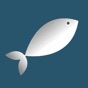 Beaver Lake Fisherman app download