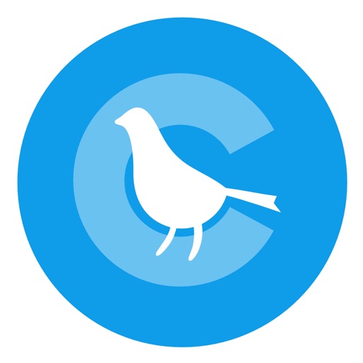 Connect Me Early Bird Icon