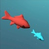 Catch Fish 3D