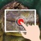 This free World of Dinosaurs app unlocks video clips by making eye-contact with the illustrations on the spreads