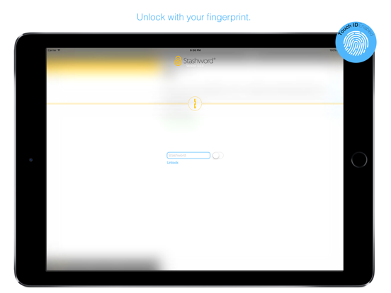 Stashword - Password Manager and Secure Wallet screenshot