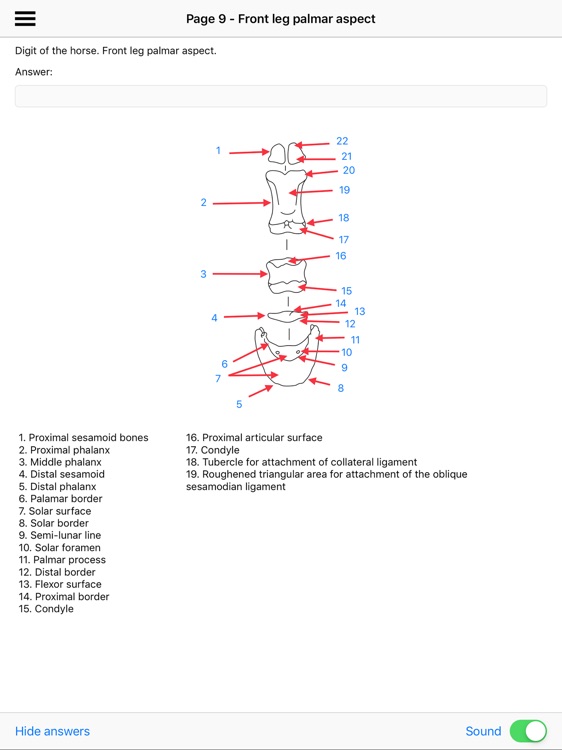 Horse And Farrier screenshot-5