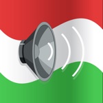 Wordy Hungarian Phrasebook