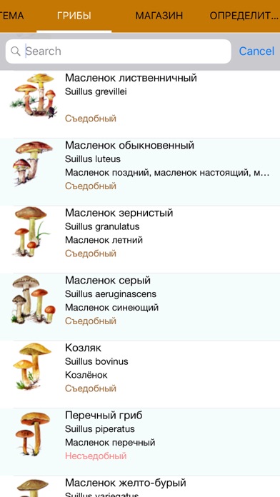 Экогид - Грибы и Определитель screenshot 3
