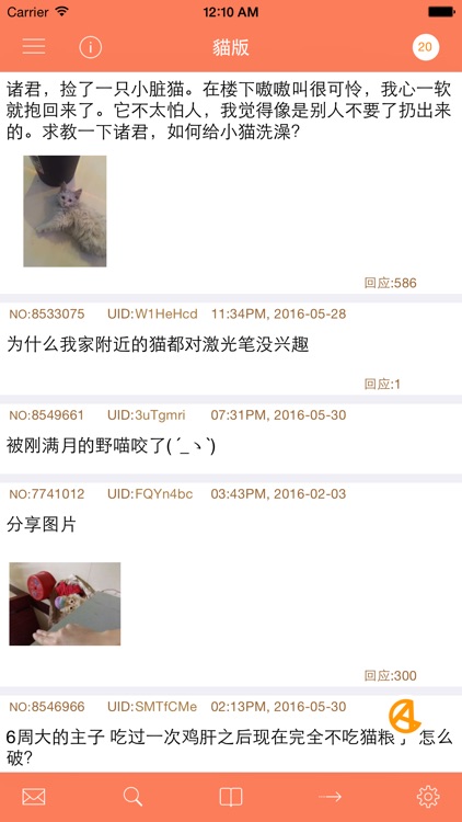 A岛匿名版