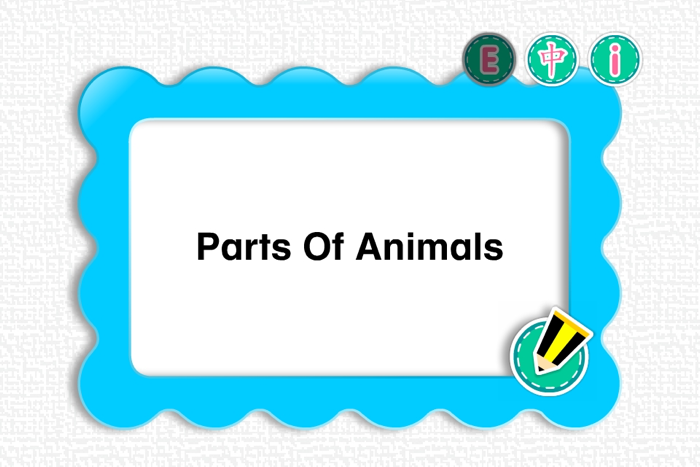 PicDic - Animals Eng-Chinese