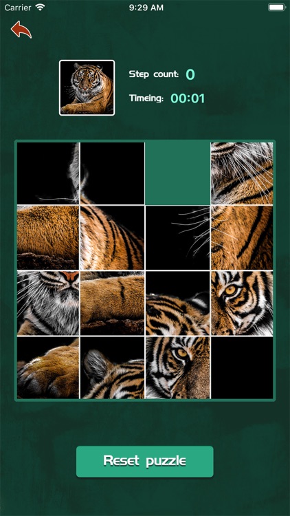 Puzzle Game-Animal&Plant