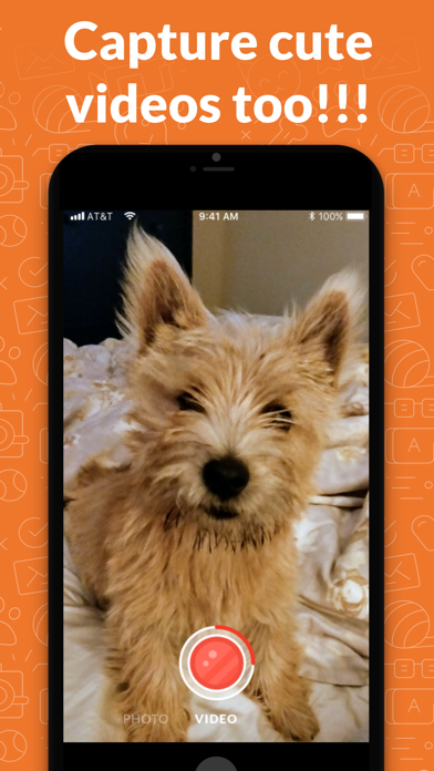 PetSelfie- DogCam and CatCam screenshot 2