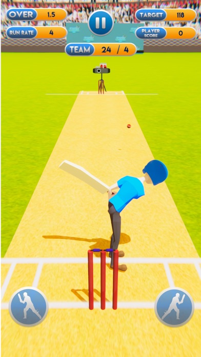 Cricket World Cup Mayhem 2019 screenshot 3