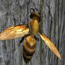 Activities of Bee Nest Simulator Full