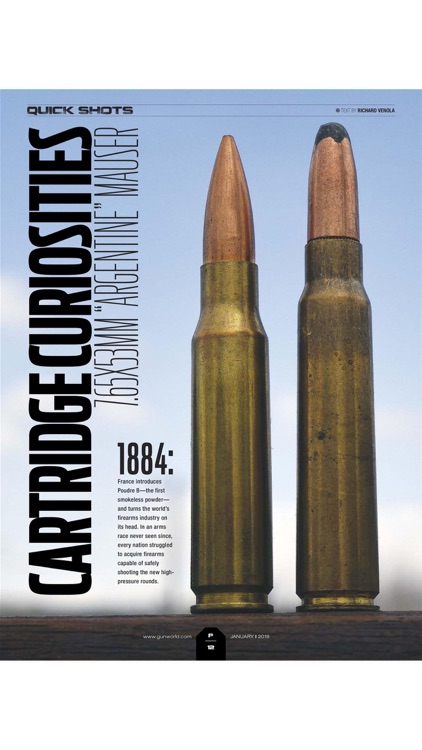 Gun World