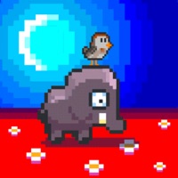 Happy Safari: a zoo game