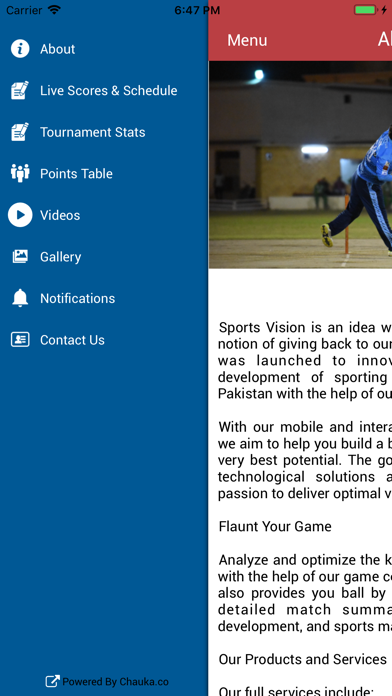Sports Vision Cricket Score screenshot 2