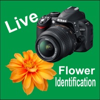 Live Flower Identify/Detector pour PC