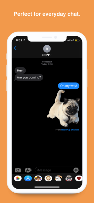 Real Pug Stickers(圖2)-速報App