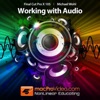 Working With Audio Tutorial