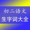 初二语文生字词专题总复习