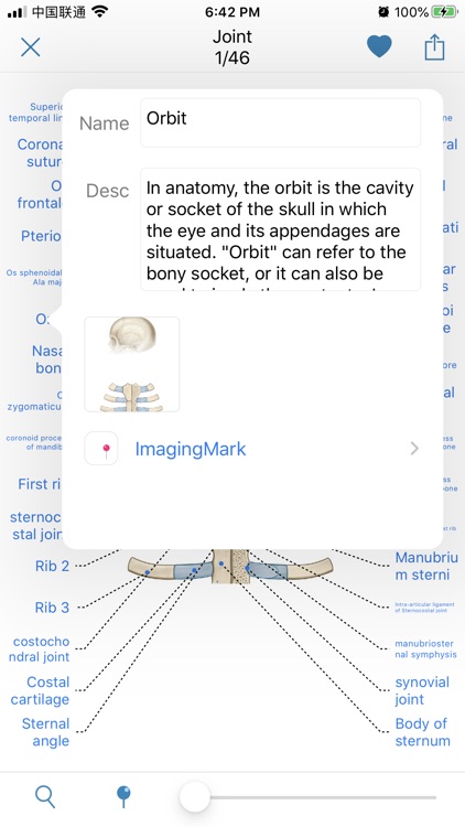 Human Anatomy -Anatomical term screenshot-3